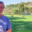 The Arnold Expo Is Postponed Due to Coronavirus