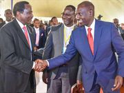 Welcome man Stevo - DP Ruto welcomes Kalonzo Musyoka to Jubilee