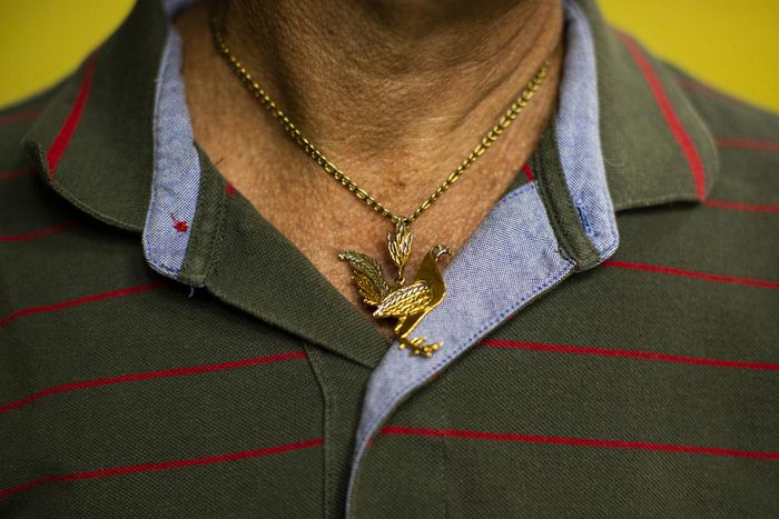 The Last Days of Legal Cockfighting in Puerto Rico