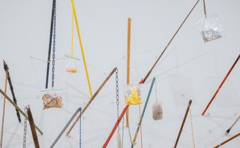 Peas, Socks and Sidewalk-Trash Sculptures: Just Keep Looking