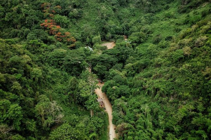 The rescue mission -- which included foreign expert divers and the Thai Navy -- drew extraordinary global interest to the mountainous district of Mae Sai
