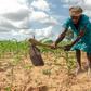 Climate extremes: A year ago, Josephine Ganye was hit by a devastating cyclone -- now she is struggling with a crippling drought