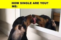 Single people meme(Naukri Nama)