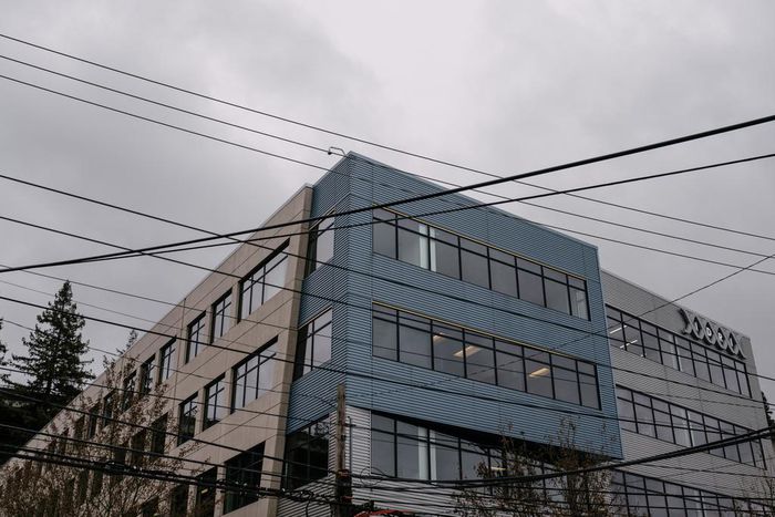 A Research Nonprofit Shutters TB Vaccine Effort and Lays Off Scientists