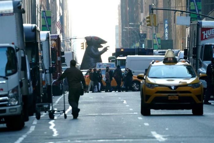 A giant inflatable rat makes its way down the street in midtown New York City  November 26, 2019 where it will sit outside a company's office in New York. American unions have been using ballooned rodents  to highlight unfair labor practises since the ...