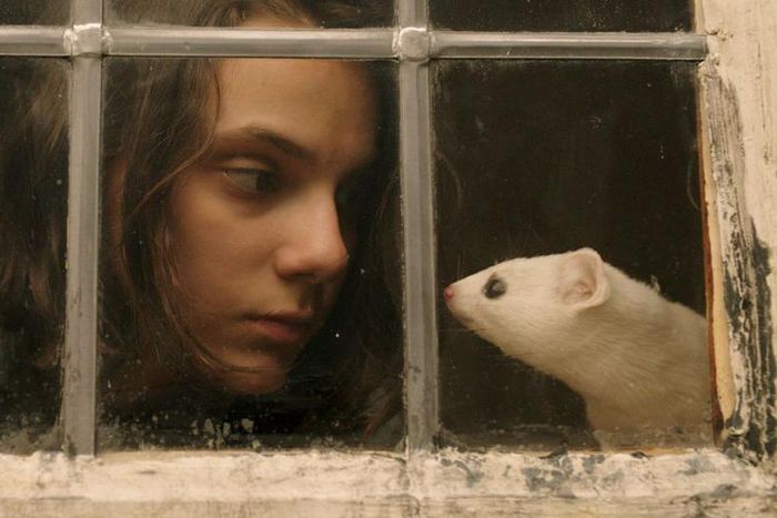 What Are Daemons in 'His Dark Materials'?