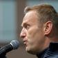 Navalny, 43, helped organise major protests against the government this summer