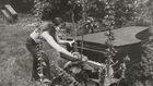Burning Pianos and Whispering Rivers: A Composer's Journey