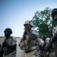 Cameroon forces have been fighting Boko Haram militants in the north