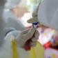 WHO sent an advance team to China this week for an international mission to examine the epidemic