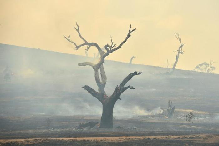 The devastating fires have raged since September, burning more than 10 million hectares (25 million acres) and killing 33 people