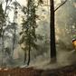 Thousands of firefighters were preparing for the worst with temperatures expected to soar