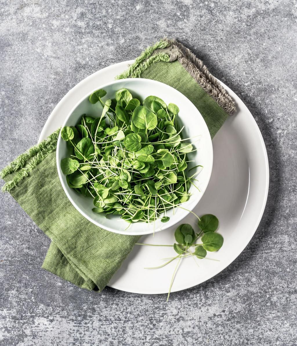 20 Keto-Friendly Vegetables That Are Incredibly Low-Carb