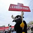 Bull and cock fighting have been popular activities in Peru since the Spanish colonization