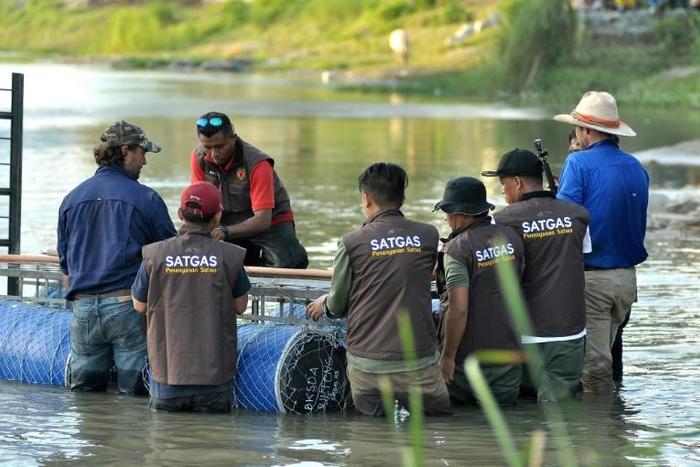 Australian crocodile wranglers  Matthew Nicolas Wright (right) and Chris Wilson (left) directing the lndonesian team in setting the trap in the river in Palu