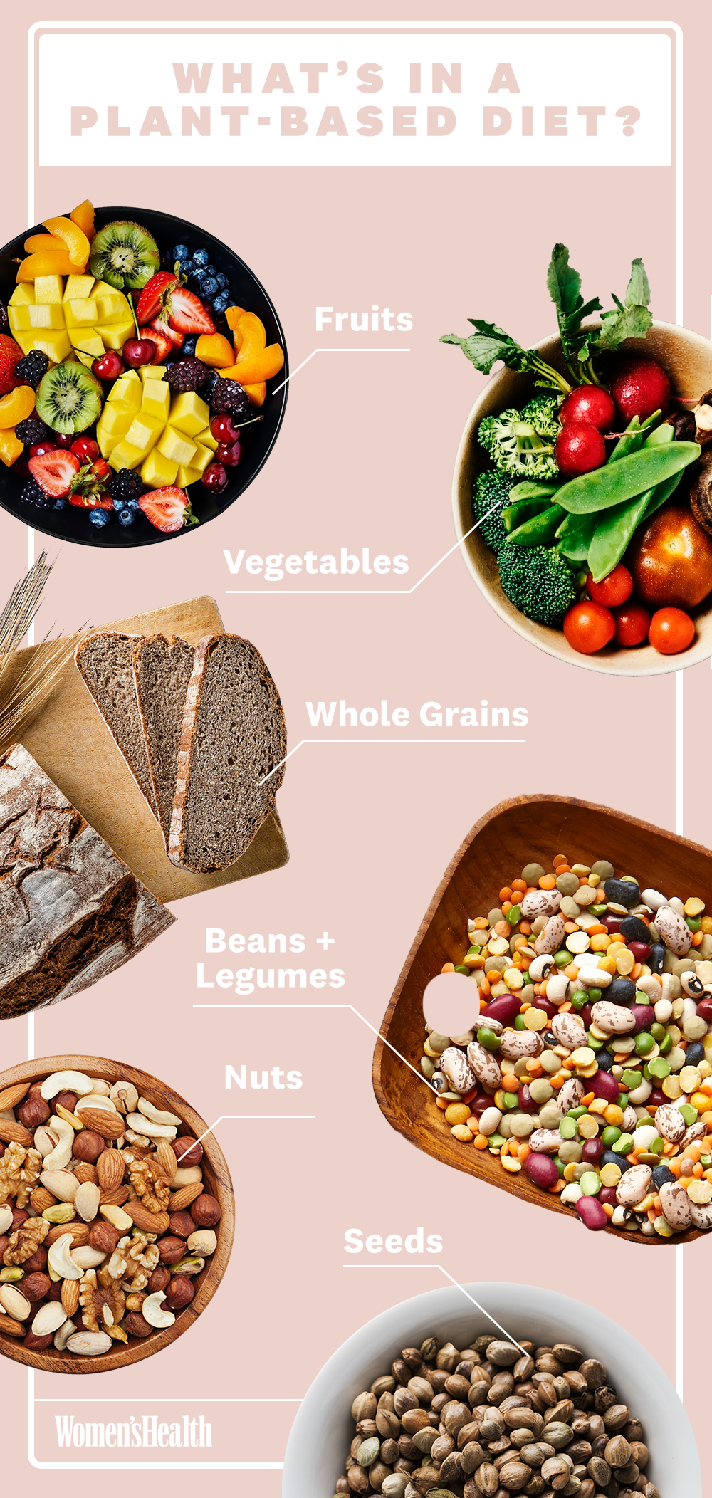 What Is The Plant-Based Diet?