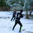A snowball fight amid the palm trees -- young boys enjoy only the second snowfall in a century to carpet Baghdad and central Iraq