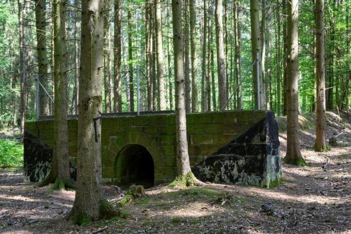 The 1930s era project has been swallowed up in the Bavarian forest