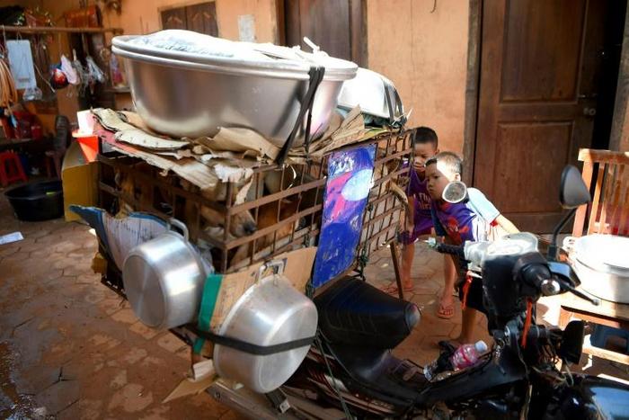 A cheap source of protein, dog meat is still consumed in several Asian countries from China and South Korea to Vietnam and non-Muslim communities in Indonesia