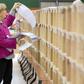 Irish officials are counting votes following Saturday's election with an exit poll forecasting Prime Minister Leo Varadkar's incumbent Fine Gael party facing a three-way dead heat