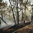 Firefighters tackle a bushfire near Batemans Bay in New South Wales