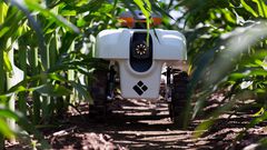 A Growing Presence on the Farm: Robots