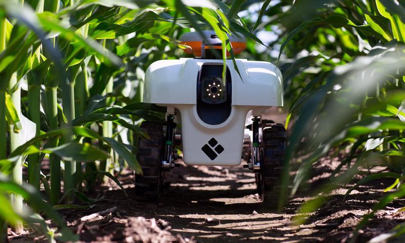 A Growing Presence on the Farm: Robots