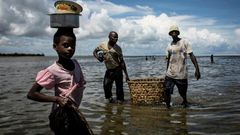 Vast gasfields discovered off the coast of Mozambique's northern Cabo Delgado province in 2010 have raised hopes of prosperity among its impoverished population