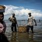 Vast gasfields discovered off the coast of Mozambique's northern Cabo Delgado province in 2010 have raised hopes of prosperity among its impoverished population