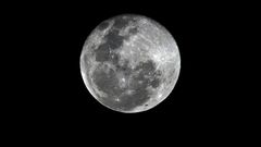 Earth has captured a 'mini moon' but it not likely to be in orbit for long