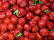 17 Ways to Drop Those Last 10 Pounds