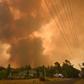 Large parts of Australia have been ravaged by massive bushfires