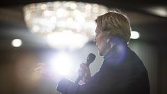 Elizabeth Warren's Backup Backup Health Plan