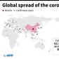 Countries and territories with confirmed cases of the new coronavirus as of February 29 at 1700 GMT