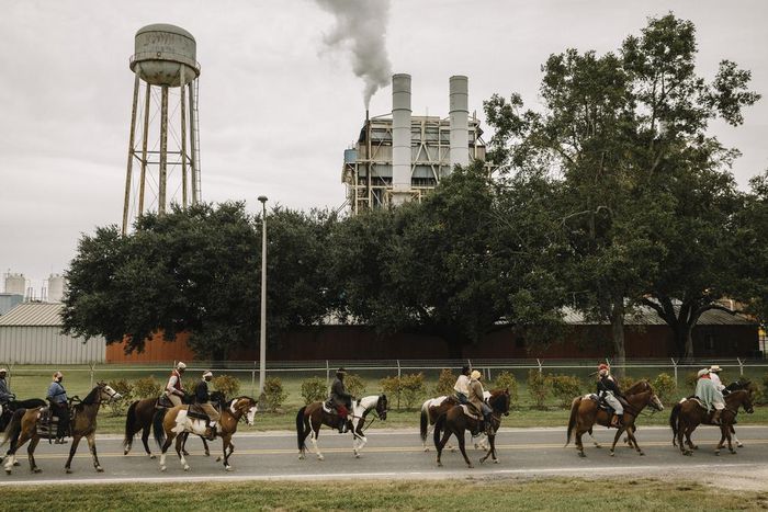 A Slave Rebellion Rises Again