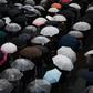 Hundreds of people queued in the rain for a chance to attend the first session in a trial of a man accused of murdering 19 people at a care home for the disabled in Japan