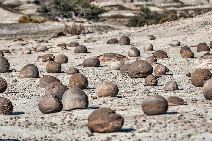 Dr. Pimple Popper Searches For Blackheads