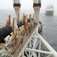 In the first sign that the sanctions were beginning to bite, Swiss contractor Allseas  suspended its Nord Stream 2 activities
