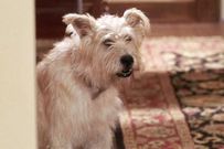 The Most Heartbreaking Deaths On ‘Grey’s Anatomy,' Ranked