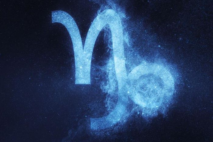 Capricorn Season Is Here, So Break Out The Planner