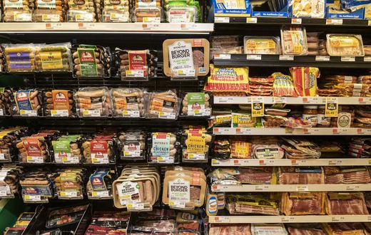 Fake Meat vs. Real Meat