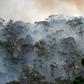The devastating fires have focused attention on climate change, with scientists saying the blazes have come earlier and with more intensity than usual due to global warming and a prolonged drought