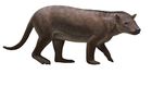 Colorado Fossils Show How Mammals Raced to Fill Dinosaurs' Void