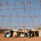 Thousands camped outside a UN base near Wau in an overcrowded tent city, too terrified to venture beyond the safety of peacekeepers