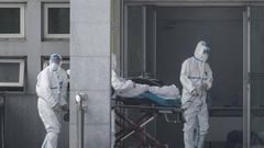 Tests on suspected Coronavirus released