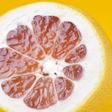 Dr. Pimple Popper Pops Grapefruit Lipoma