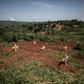 Graves of fallen DR Congo soldiers are pictured in July 2019 outside a base in Djugu, eastern DR Congo