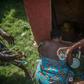 Sacred: Priestesses in Porto-Novo give offerings to a voodoo idol