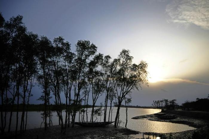 Cyclone Bulbul is set to make landfall near the Sundarbans on the Bangladesh coast