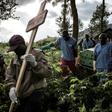 Severe unrest in DR Congo has exacerbated the fight against the spread of Ebola during the second deadliest epidemic on record